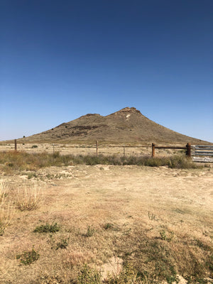 Road Trip - Day 3! From Texas to Colorado!