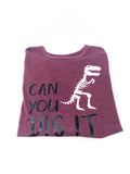 Can You Dig It - Dinosaur