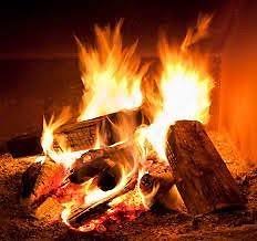 Firewood
